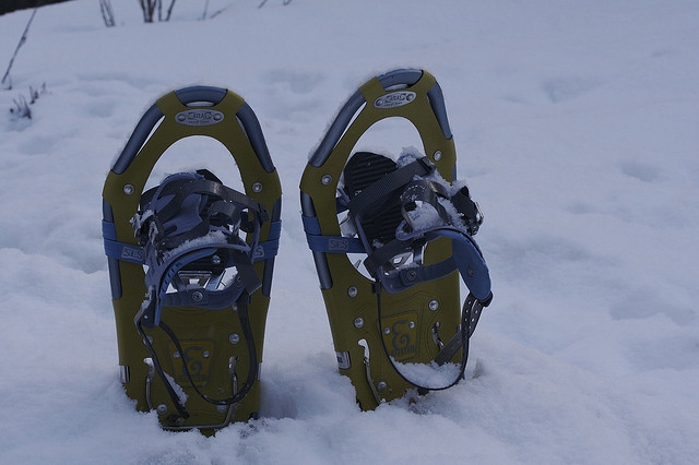 Raquetas de nieve en la nieve